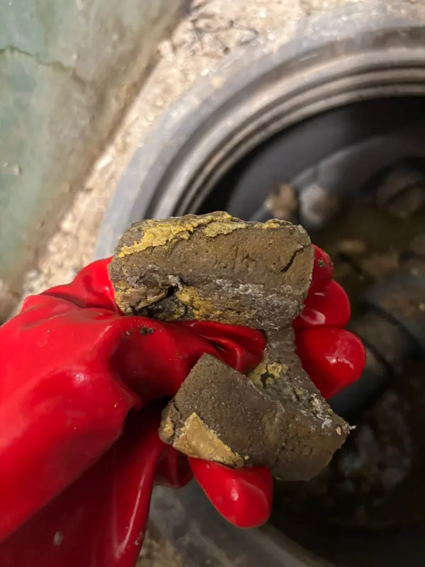 Blocs de graisse durcie retirés d’une cuve de relevage