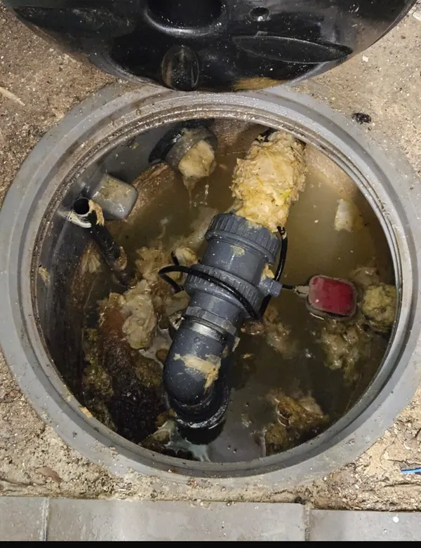 Pompe de relevage dans une cuve encrassée, flotteur rouge et clapet visibles au milieu des graisses